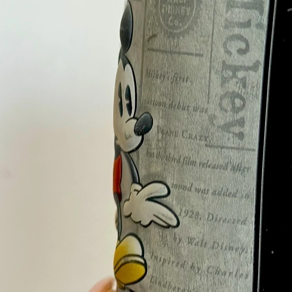 Disney enjoy your